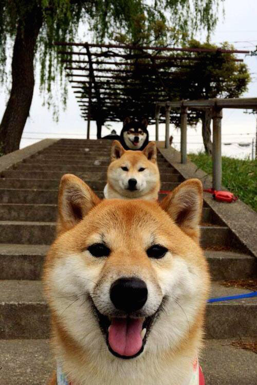 获胜的秘密:WRC冠军车手的训练秘籍,wrc获得冠军最多的