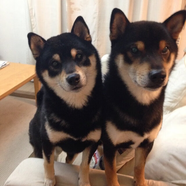 足球场地用地审批流程进一步简化,足球场地申请