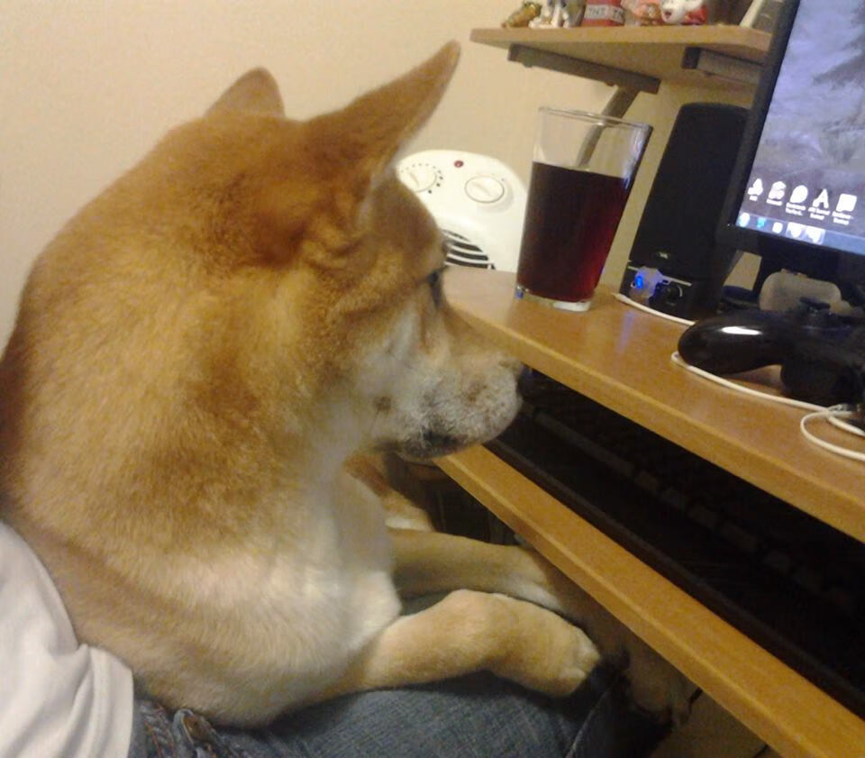 爱游戏下载-阿贾克斯在赛季末崩盘，主帅法里奥利赛季结束后辞职。，阿贾克斯vs里尔历史战绩