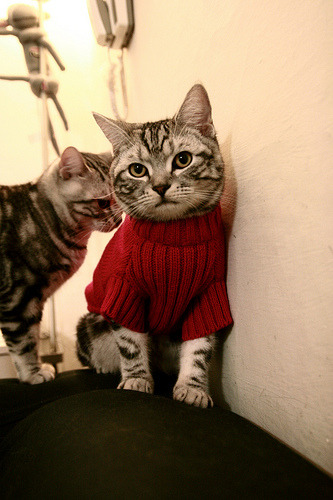 爱游戏中国官方登录入口网站-决赛在即：欧洲国家队将与对手争夺冠军，欧洲国家队比赛日时间安排