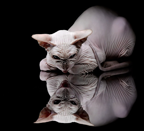 爱游戏娱乐平台-巴塞罗那主场越战越勇登顶西甲积分榜，巴塞罗那西甲战绩