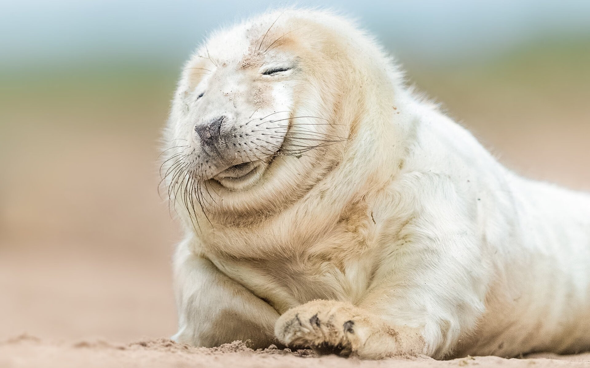 爱游戏在线娱乐官网-德国女子排球队在四分之一决赛中惜败美国队，德国女排四号