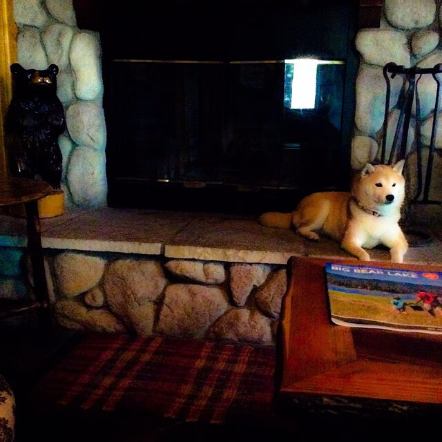 AYX官网-毕尔巴鄂竞技客场1-1战平格拉纳达，双方互有攻守，毕尔巴鄂竞技足球