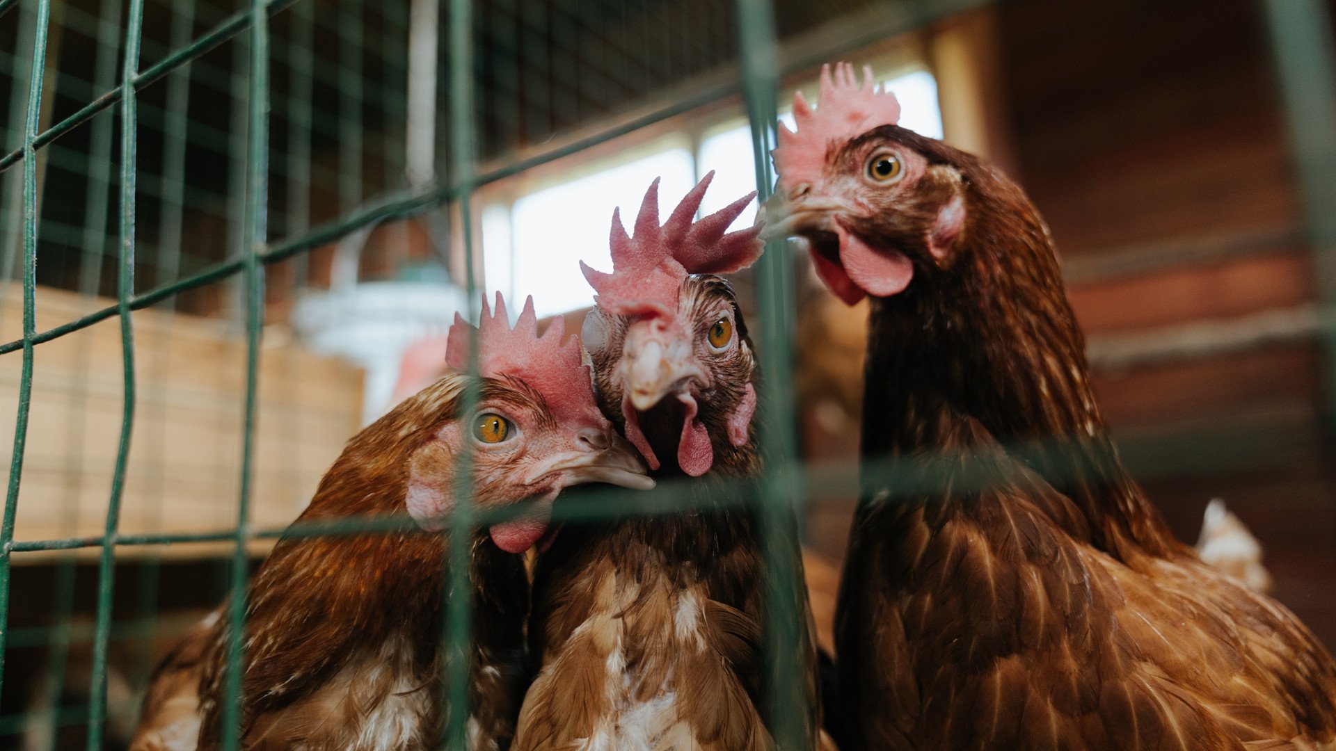 爱游戏体育（AYX）官方APP下载-职业篮球俱乐部品牌影响力，篮球俱乐部牌子