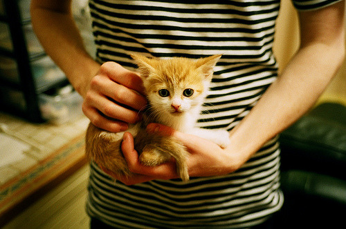 西布朗防守反击犀利,铝土矿工欲保级,西布朗首发