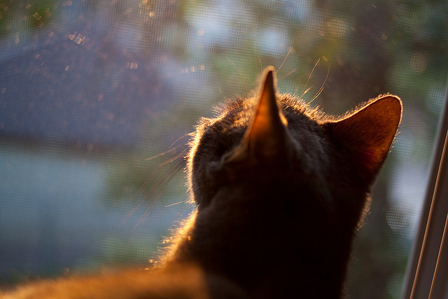 重要比赛的精彩瞬间播放，重要比赛的精彩瞬间播放英文