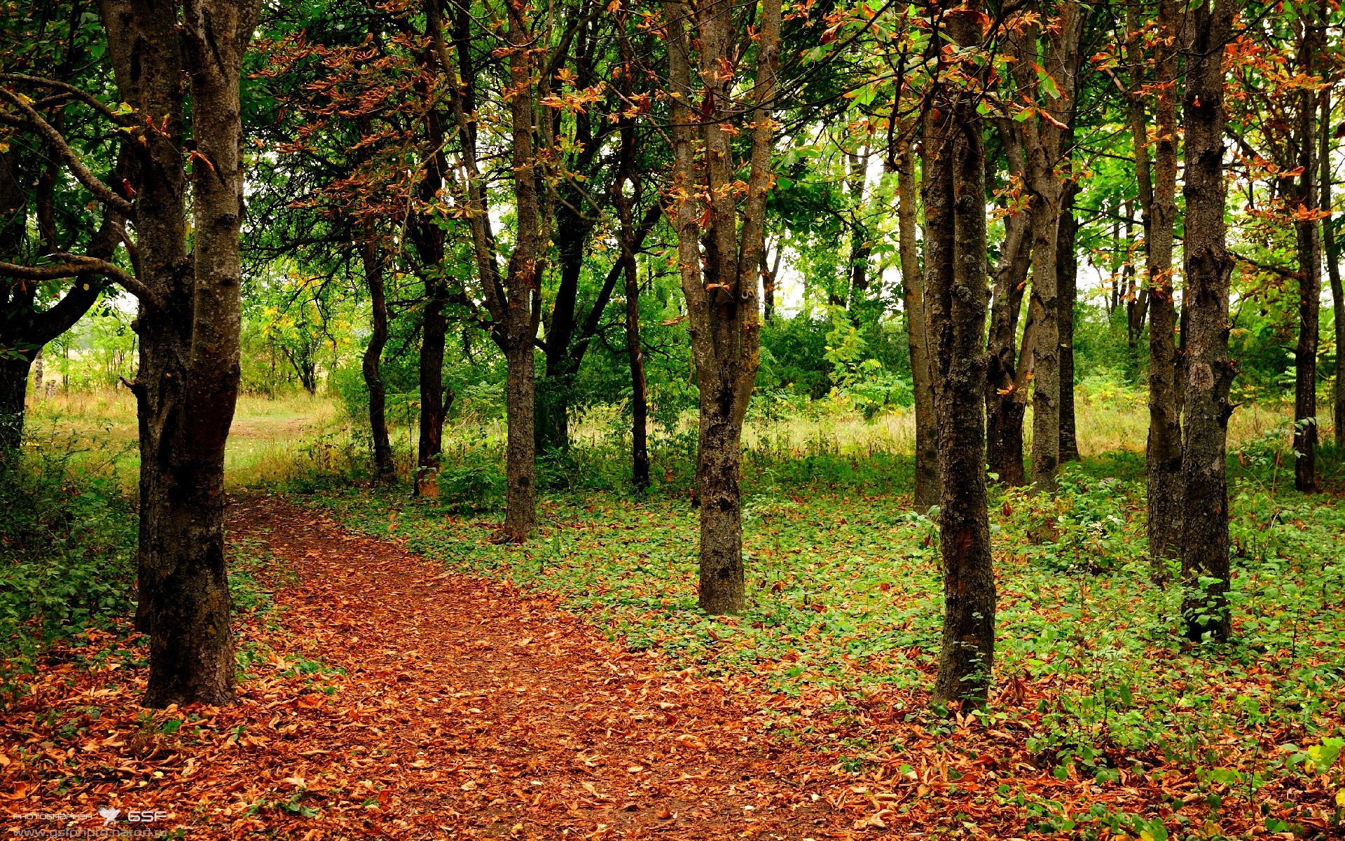 AIYOUXI.COM-重要比赛，关键人物将如何表现？，关键人物 key