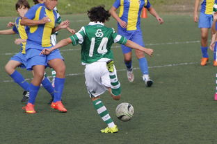 AYX体育-英超球队引入神经科学干预提升定位球专注度的实证研究