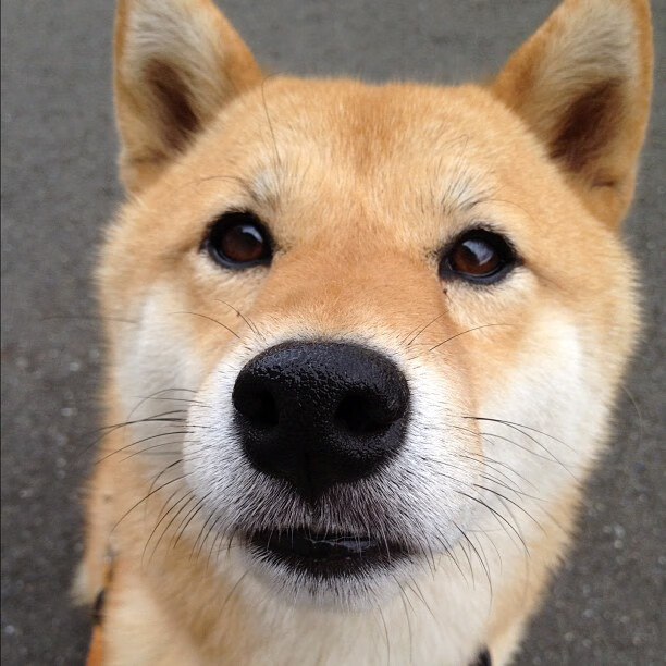 世界围棋赛策略与耐力的巅峰较量，世界比赛围棋