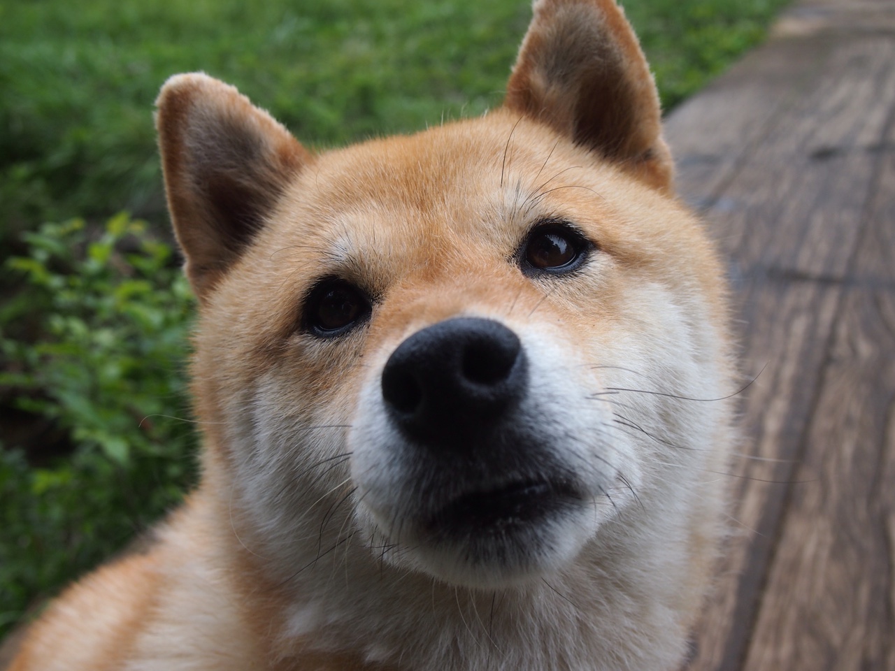 中超球队后备人才储备体系加强，中超预备队名单