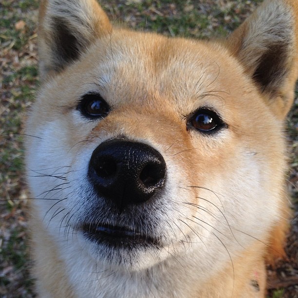 俱乐部管理体制改革滞后,俱乐部管理体制改革滞后的原因