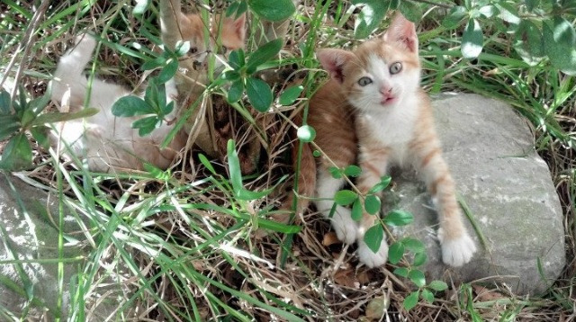 天府新区再掀体育热潮，湖滨赛场受瞩目，天府体育公园