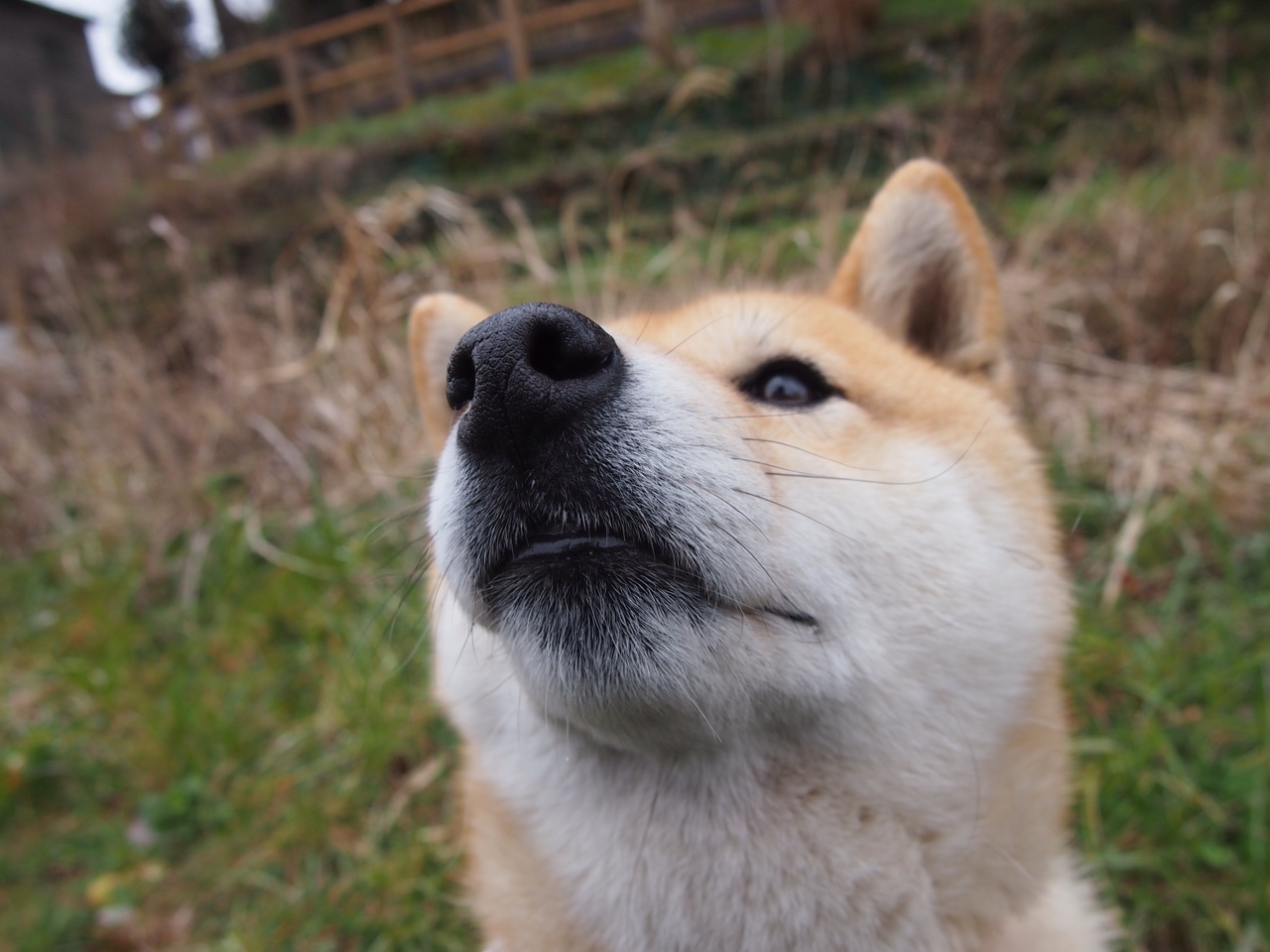 爱游戏中国官方登录入口网站-罗马新援表现惊艳带动整体攻防，罗马新球场最新消息
