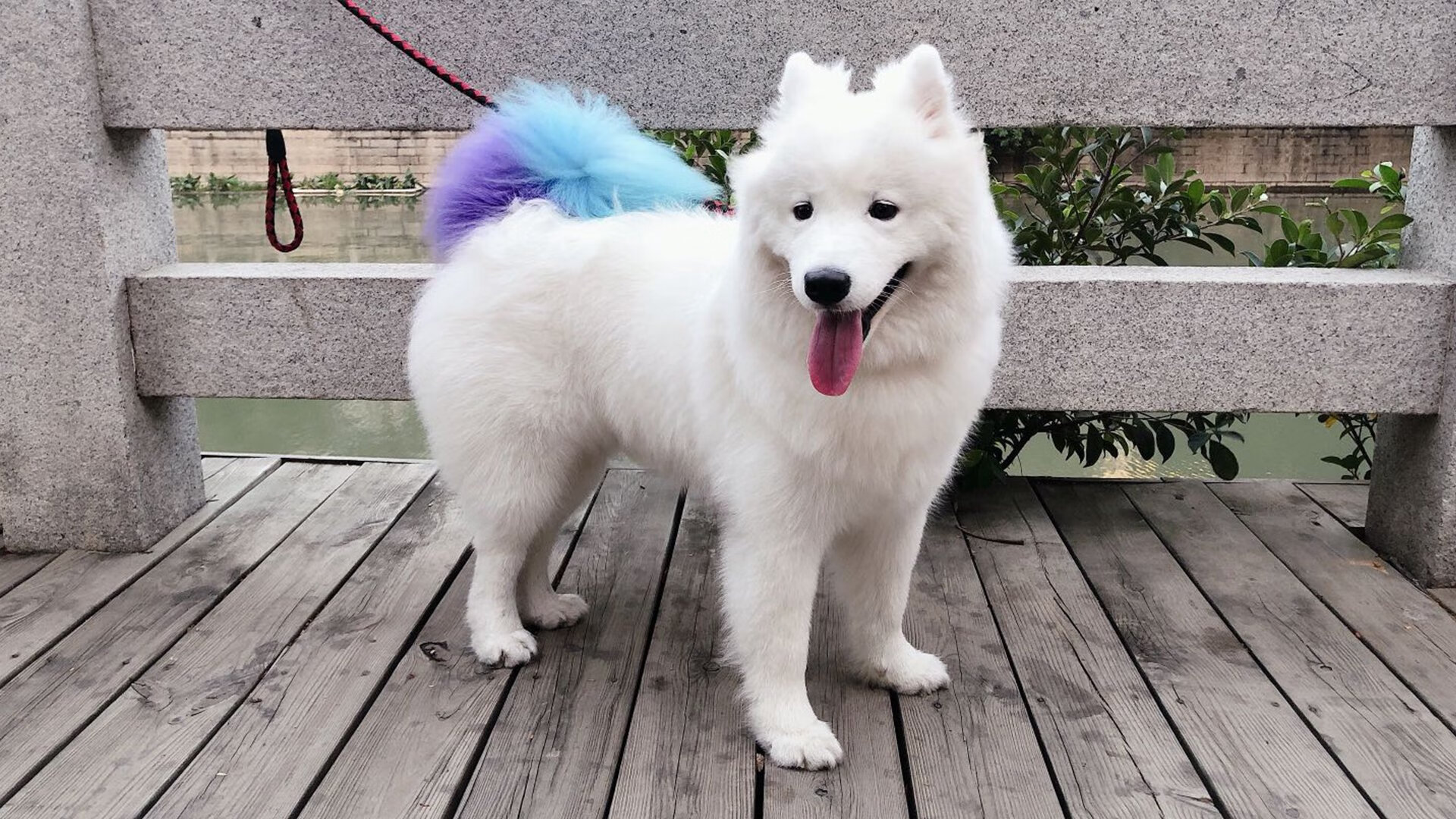 爱游戏娱乐-新闻中心发布国家体育信息安全防护项目采购清单，国家体育信息中心主任