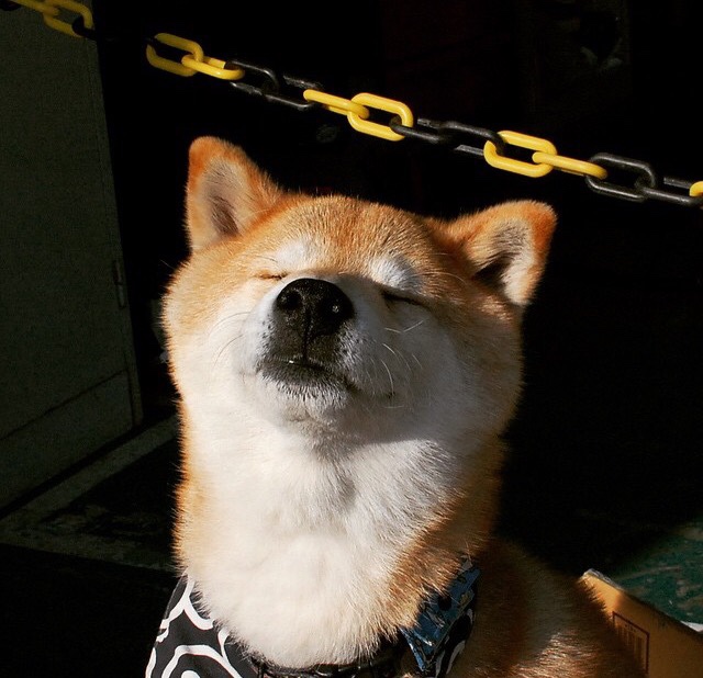 朱婷亮相校园被学生热情包围,朱婷上学