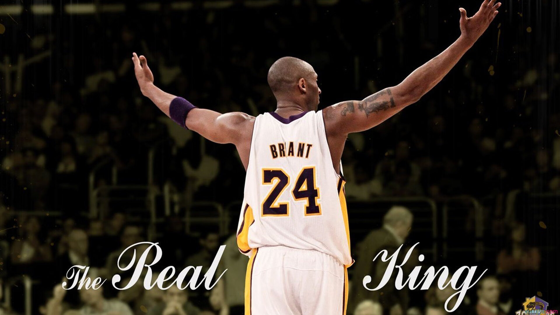 爱游戏体育-赛事组委会增设新奖项表彰团队协作突出集体价值受媒体关注，赛事组委会人员安排